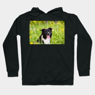 happy pup Hoodie